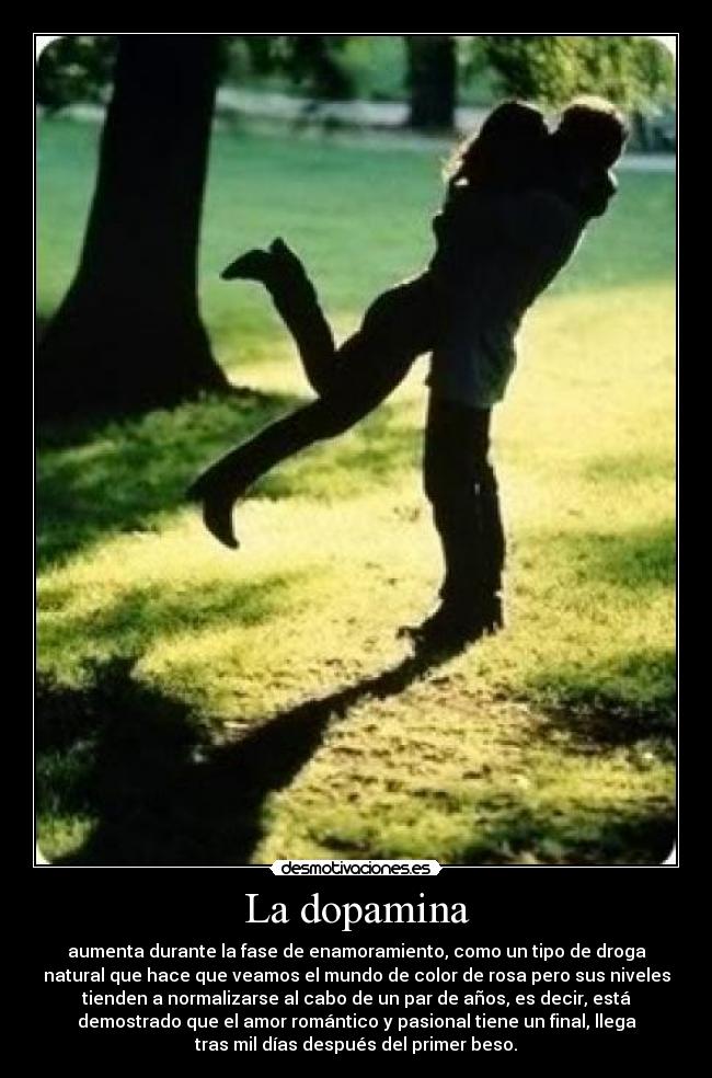 La dopamina - aumenta durante la fase de enamoramiento, como un tipo de droga
natural que hace que veamos el mundo de color de rosa pero sus niveles
tienden a normalizarse al cabo de un par de años, es decir, está
demostrado que el amor romántico y pasional tiene un final, llega
tras mil días después del primer beso.