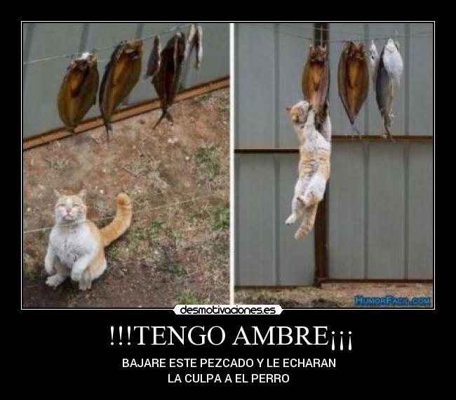 !!!TENGO AMBRE¡¡¡ - BAJARE ESTE PEZCADO Y LE ECHARAN
LA CULPA A EL PERRO