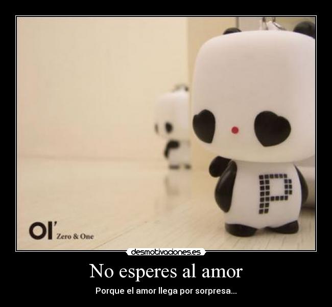 carteles amor amor desmotivaciones