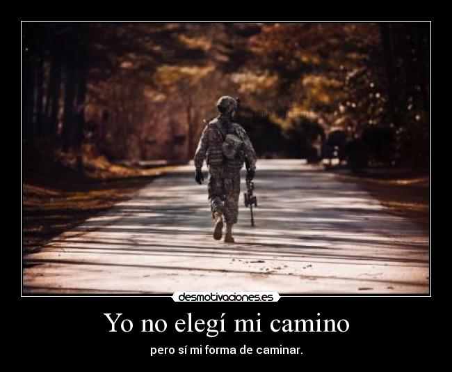 Yo no elegí mi camino - 