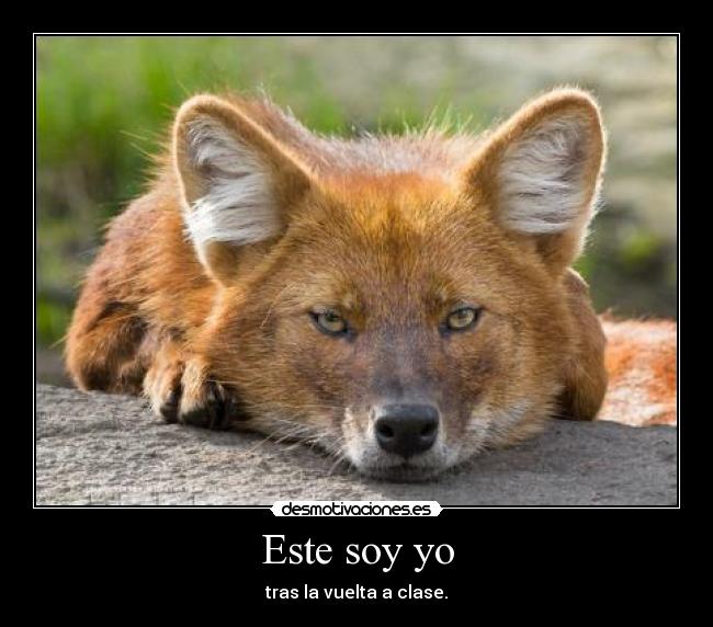 Este soy yo - tras la vuelta a clase.