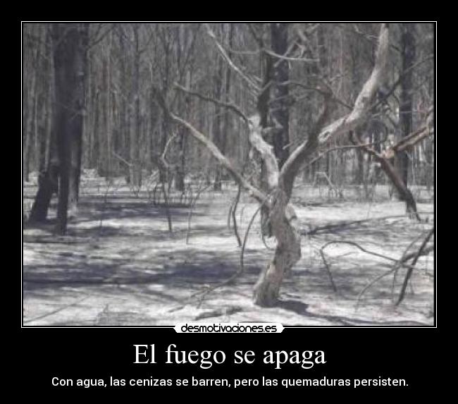 El fuego se apaga - Con agua, las cenizas se barren, pero las quemaduras persisten.