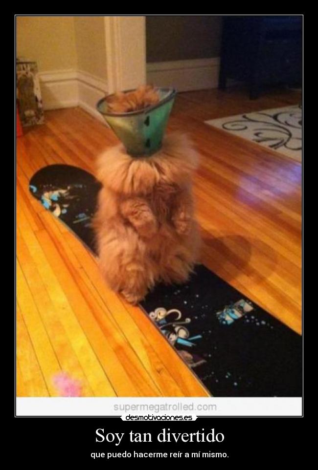 Soy tan divertido - que puedo hacerme reír a mí mismo.