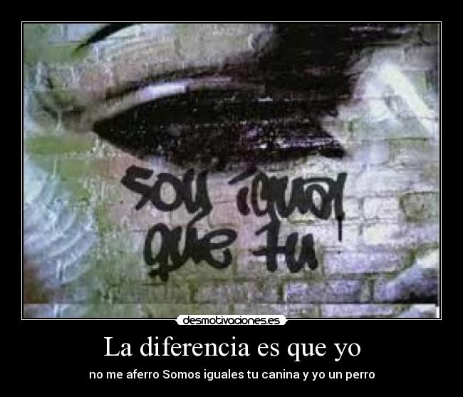 La diferencia es que yo - no me aferro Somos iguales tu canina y yo un perro