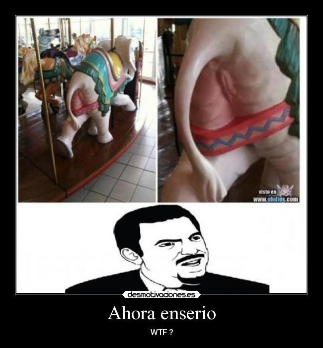 Ahora enserio - WTF ?