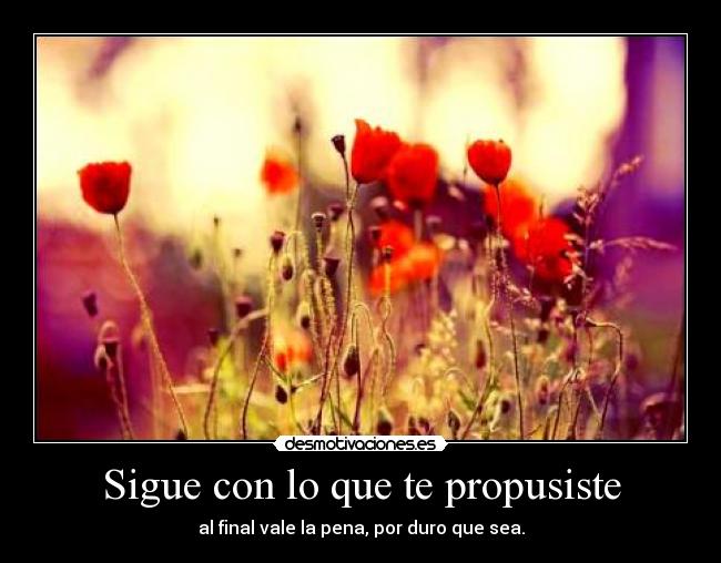 Sigue con lo que te propusiste - al final vale la pena, por duro que sea.