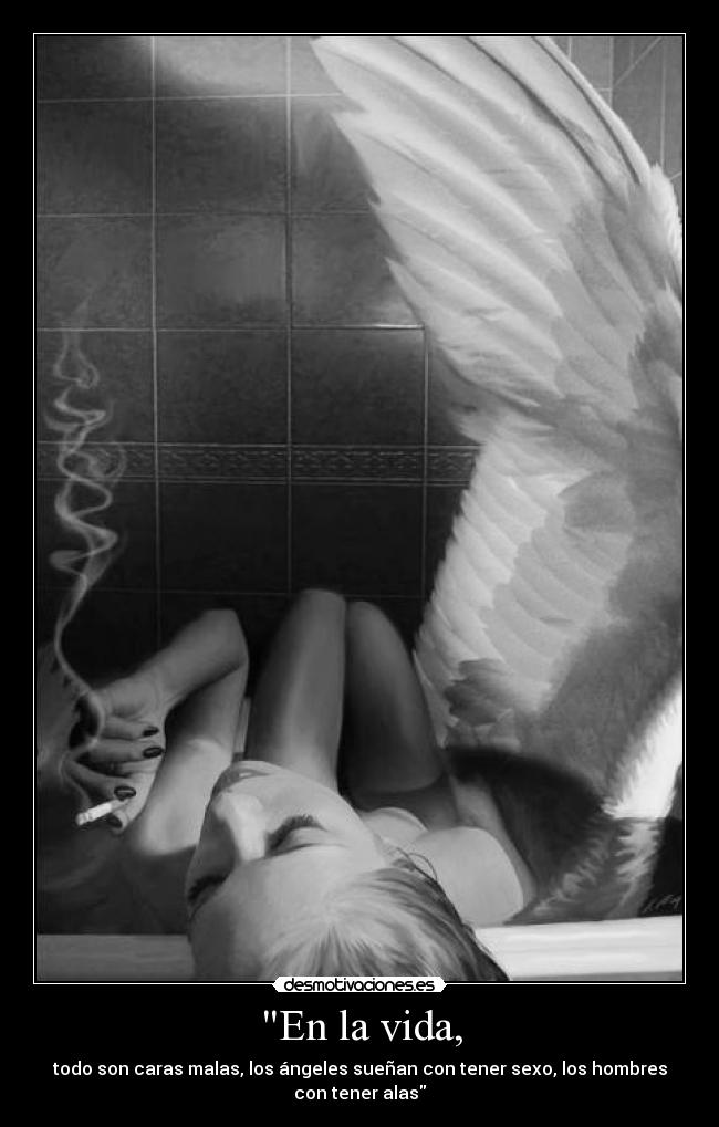 En la vida, - todo son caras malas, los ángeles sueñan con tener sexo, los hombres
con tener alas