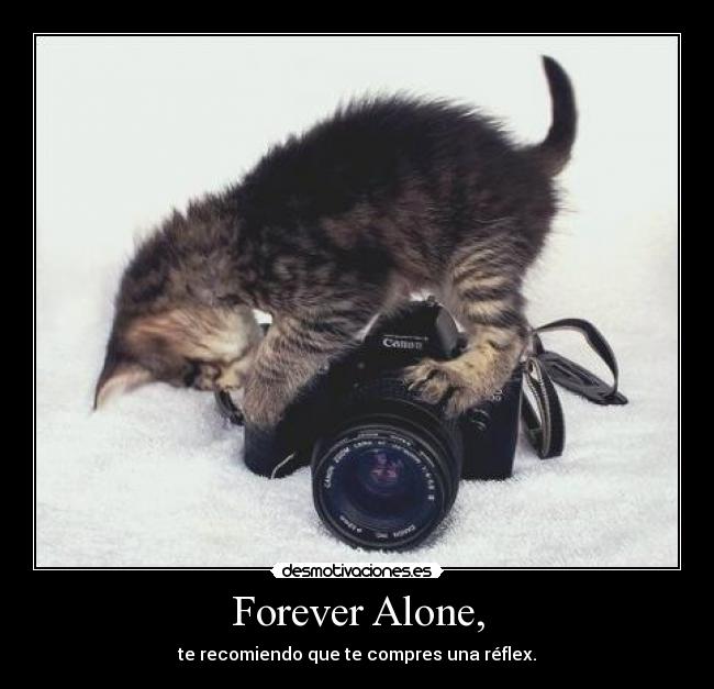 Forever Alone, - te recomiendo que te compres una réflex.