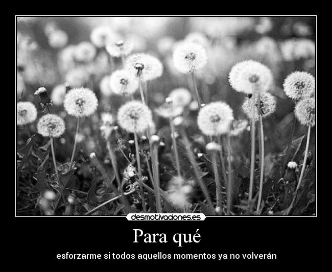 Para qué - 