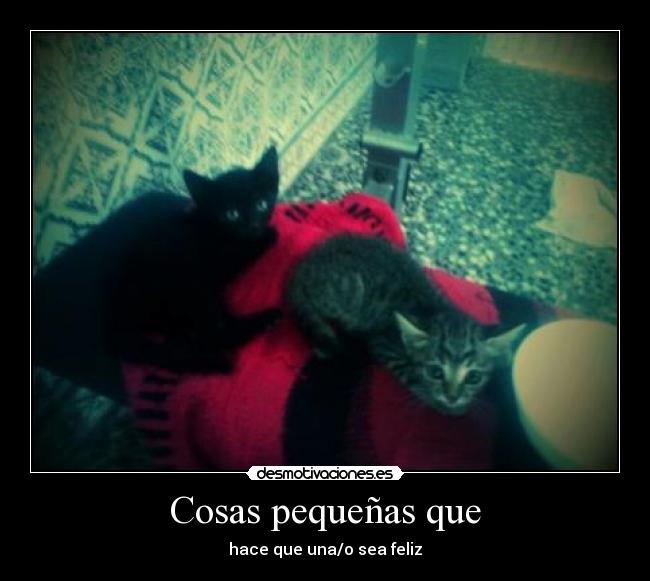 Cosas pequeñas que - 
