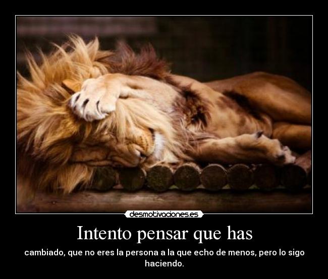 Intento pensar que has - cambiado, que no eres la persona a la que echo de menos, pero lo sigo haciendo.