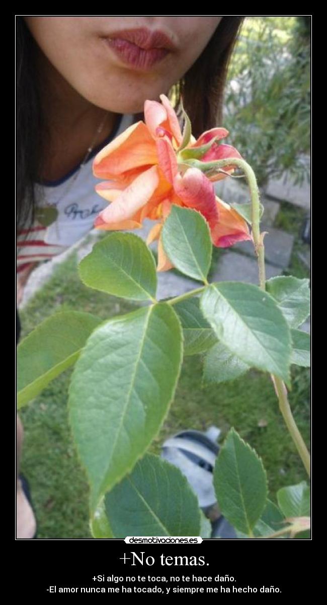 +No temas. - +Si algo no te toca, no te hace daño.
-El amor nunca me ha tocado, y siempre me ha hecho daño.