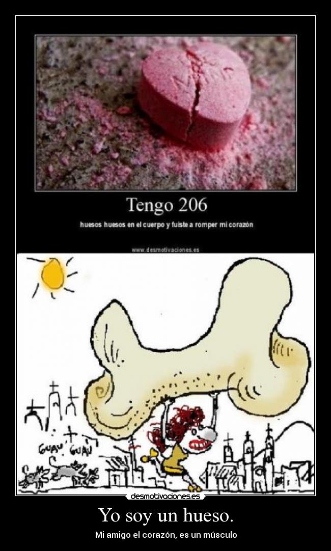 carteles hueso desmotivaciones