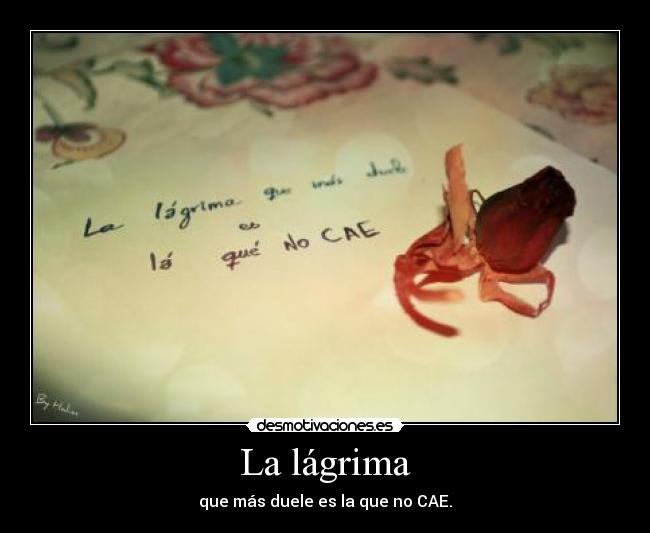 La lágrima - que más duele es la que no CAE.