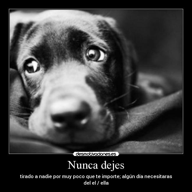 Nunca dejes - tirado a nadie por muy poco que te importe; algún día necesitaras del el / ella