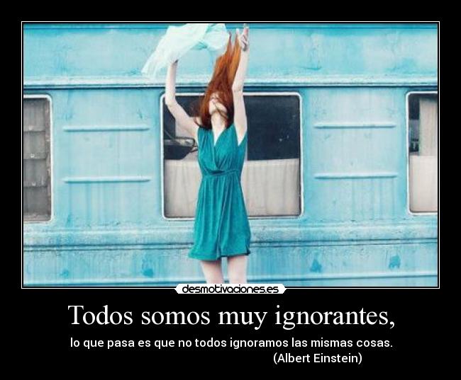 Todos somos muy ignorantes, -