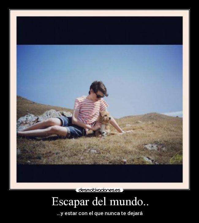 carteles mundo amigo perro escapar mundo desmotivaciones