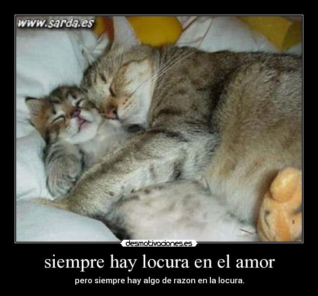 siempre hay locura en el amor -