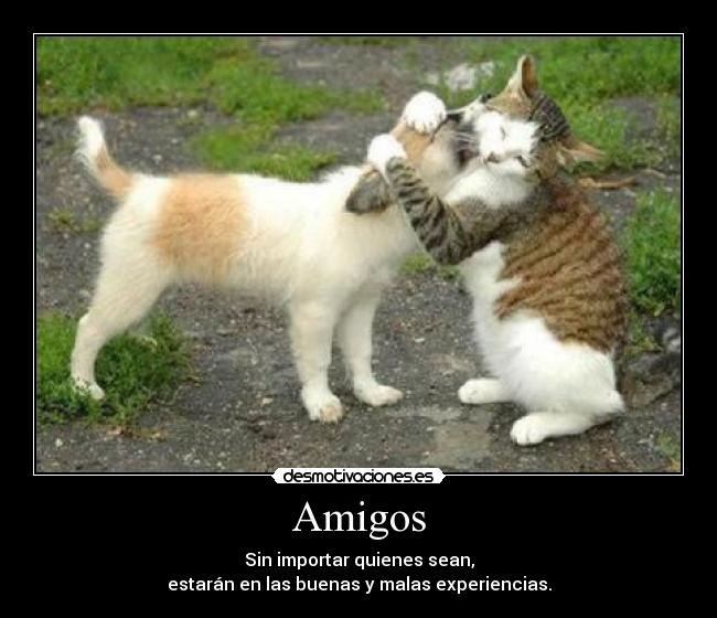 Amigos - Sin importar quienes sean,
estarán en las buenas y malas experiencias.