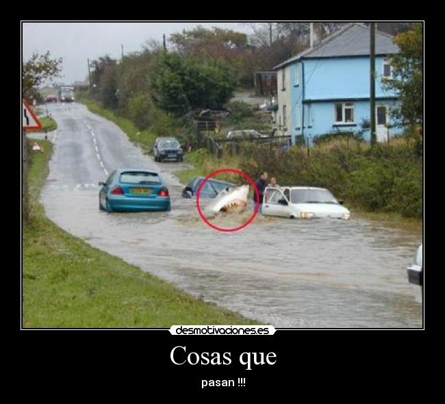 Cosas que - pasan !!!