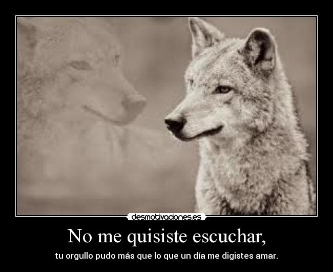 No me quisiste escuchar, - 