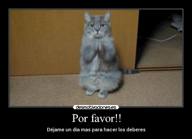 Por favor!! - 