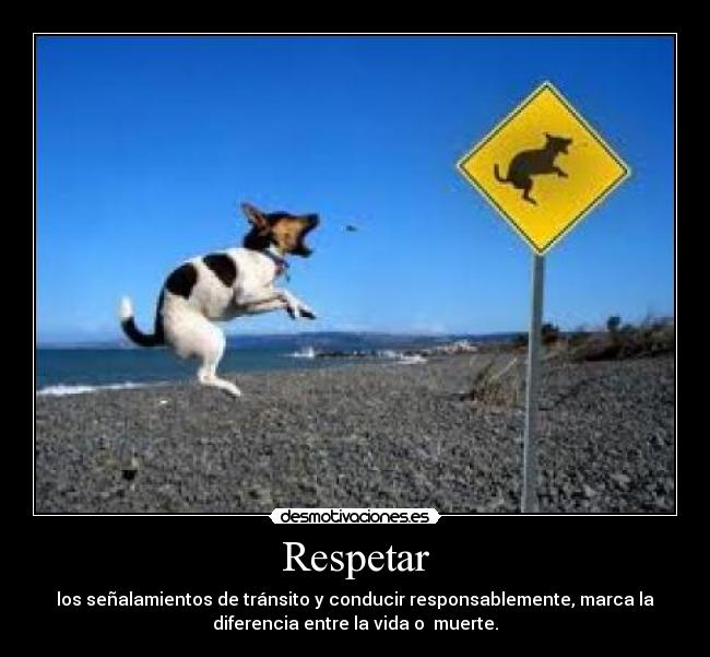 Respetar - los señalamientos de tránsito y conducir responsablemente, marca la
diferencia entre la vida o muerte.