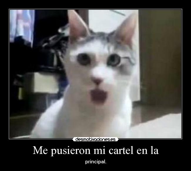 carteles c4rt3l3s pr1n d3s 3st4 d4nd0 much0 su3n0 s1qu13r4 3mp3z4d0 l4s cl4s3s g4t0s s0rpr3nd1d0s desmotivaciones