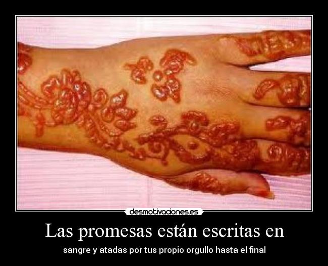 carteles promesas las promesas estan escritas desmotivaciones
