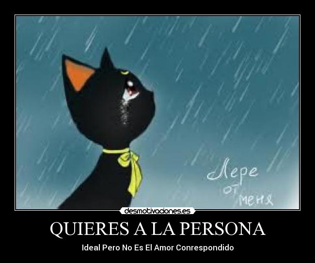QUIERES A LA PERSONA -