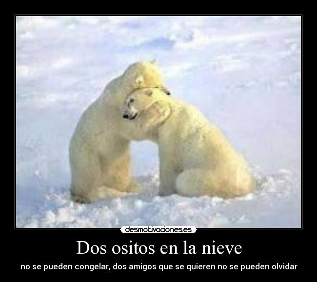 Dos ositos en la nieve - no se pueden congelar, dos amigos que se quieren no se pueden olvidar
