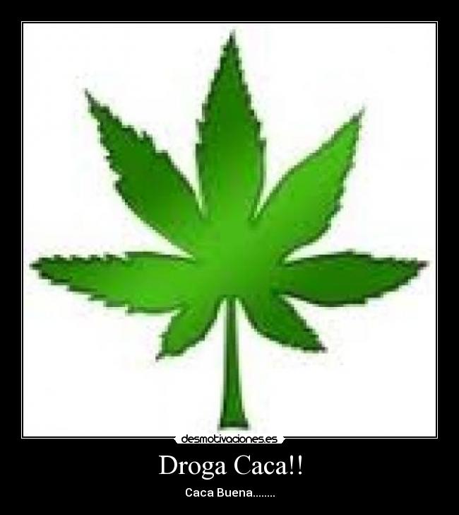 Droga Caca!! - 
