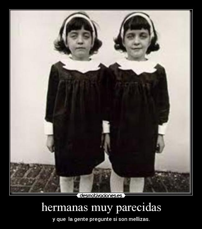 carteles petitonag desmotivaciones