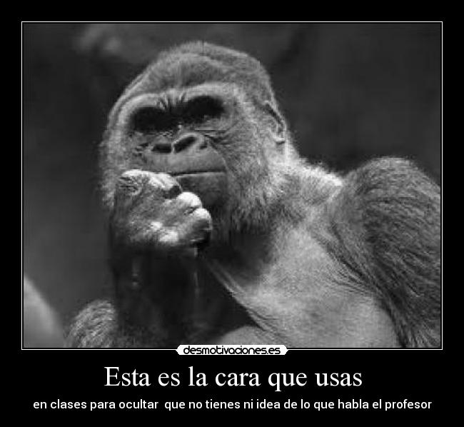 Esta es la cara que usas - en clases para ocultar  que no tienes ni idea de lo que habla el profesor
