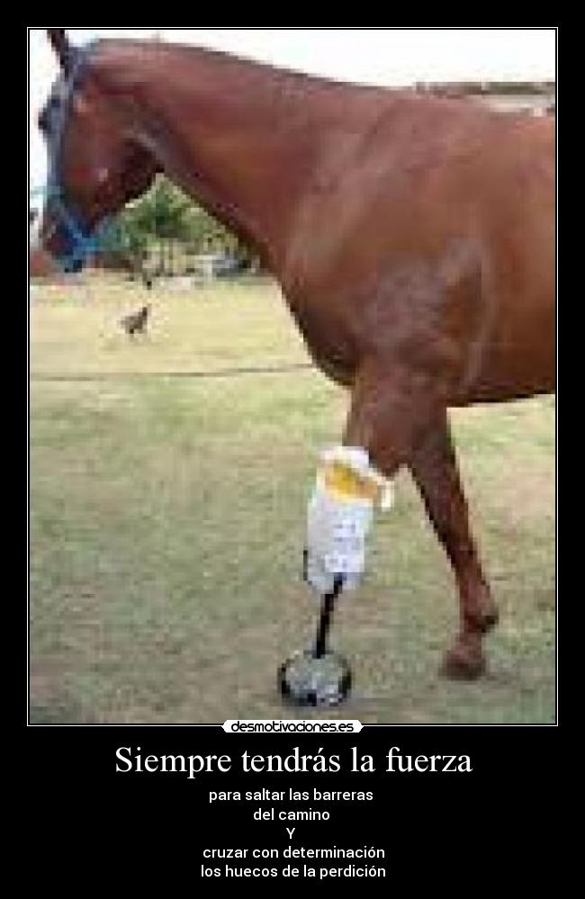 Siempre tendrás la fuerza -