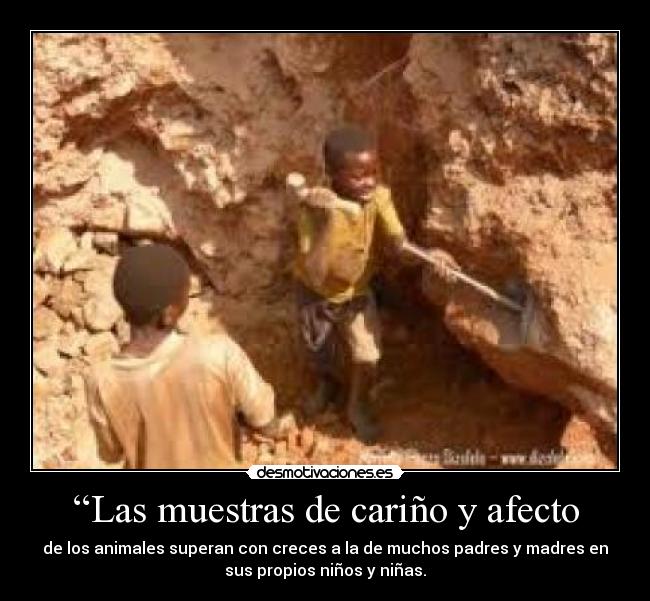 “Las muestras de cariño y afecto - de los animales superan con creces a la de muchos padres y madres en
sus propios niños y niñas.