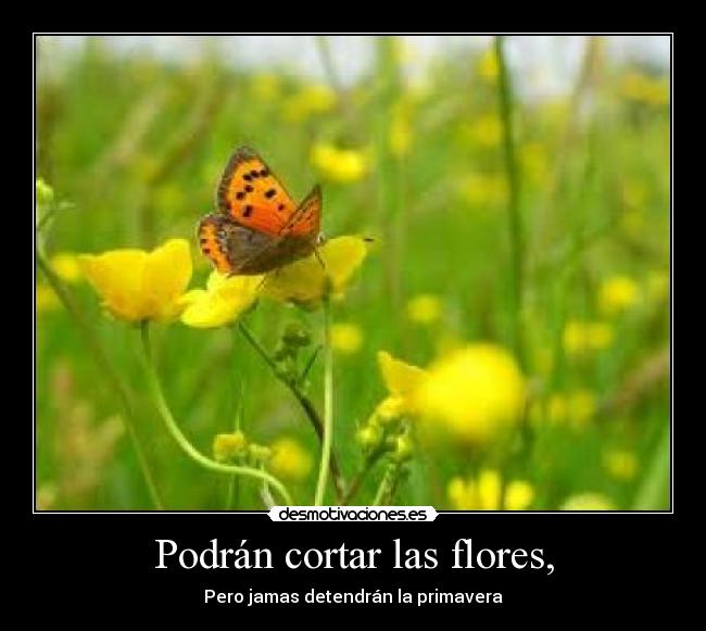 carteles podran cortar las flores desmotivaciones