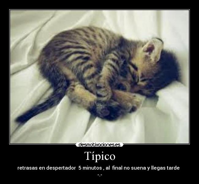 Típico - retrasas en despertador 5 minutos , al final no suena y llegas tarde
-.-
