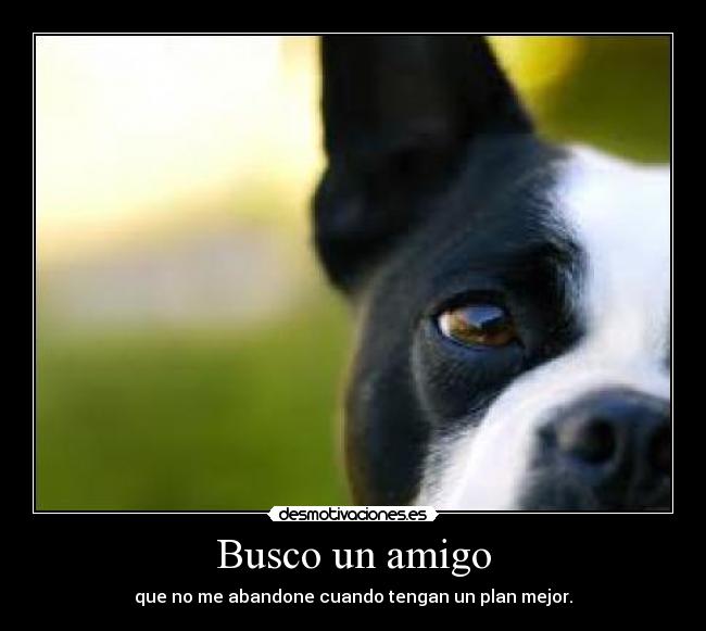 Busco un amigo -