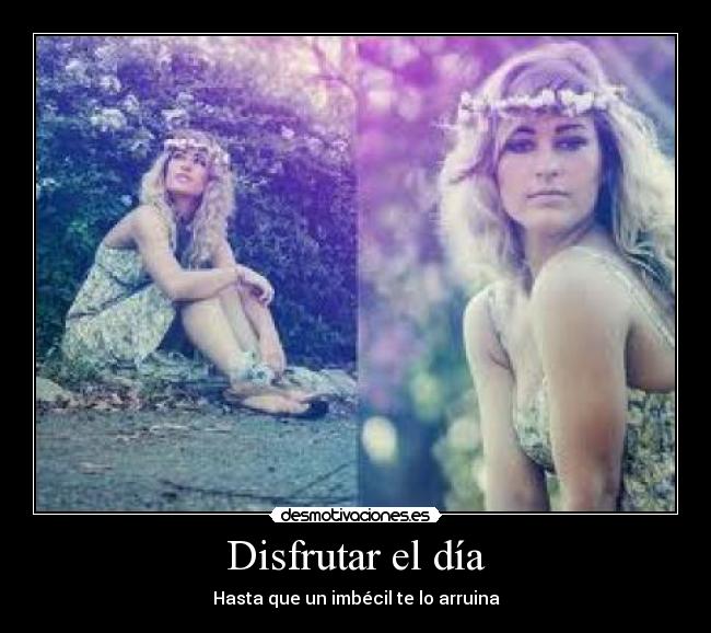 Disfrutar el día - Hasta que un imbécil te lo arruina