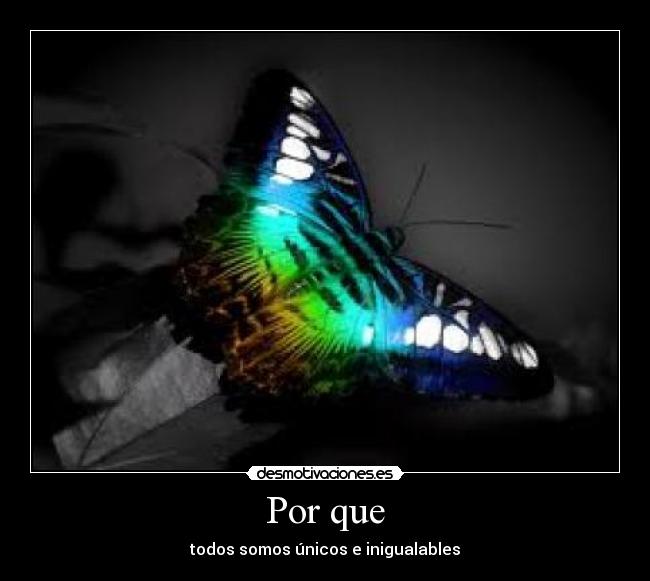 Por que - todos somos únicos e inigualables