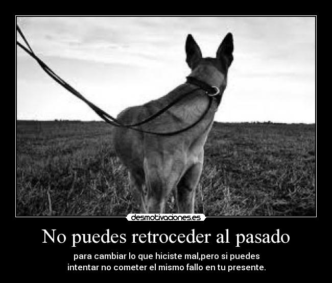 No puedes retroceder al pasado - 