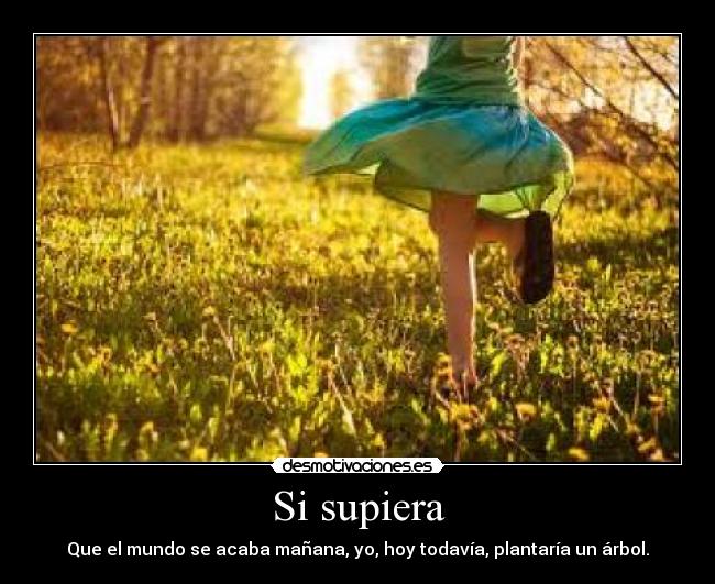 Si supiera - Que el mundo se acaba mañana, yo, hoy todavía, plantaría un árbol.