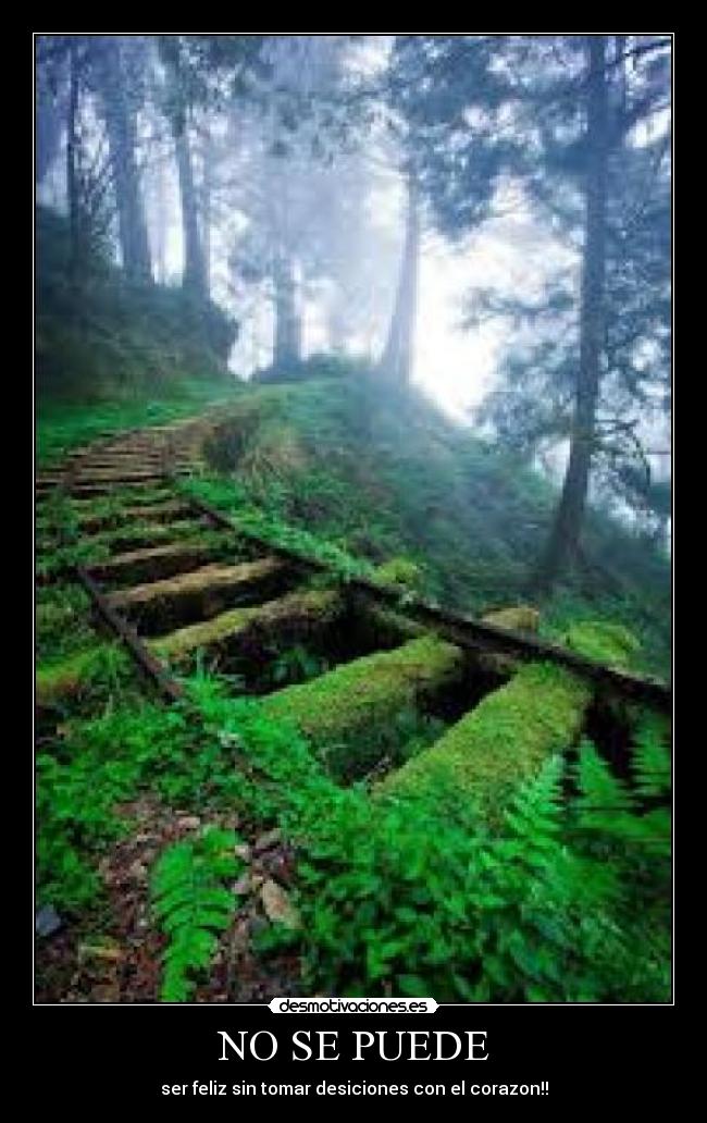 NO SE PUEDE -