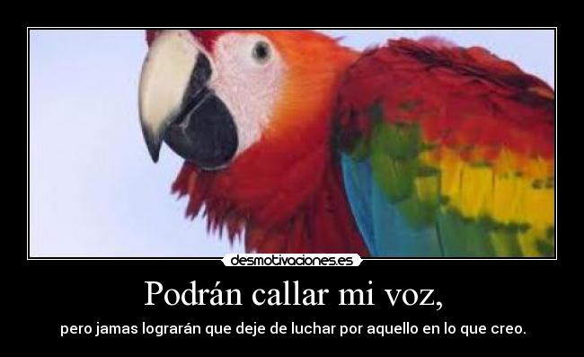 carteles maltrato animalaunquenotengaquever desmotivaciones