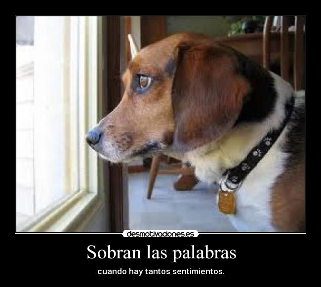 Sobran las palabras - cuando hay tantos sentimientos.