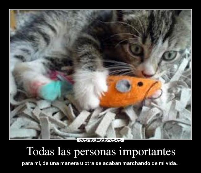 Todas las personas importantes - para mí, de una manera u otra se acaban marchando de mi vida...