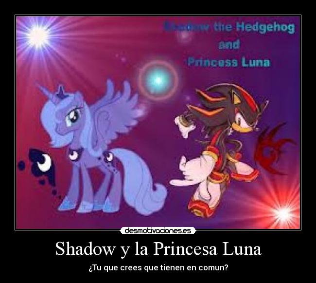 Shadow y la Princesa Luna -