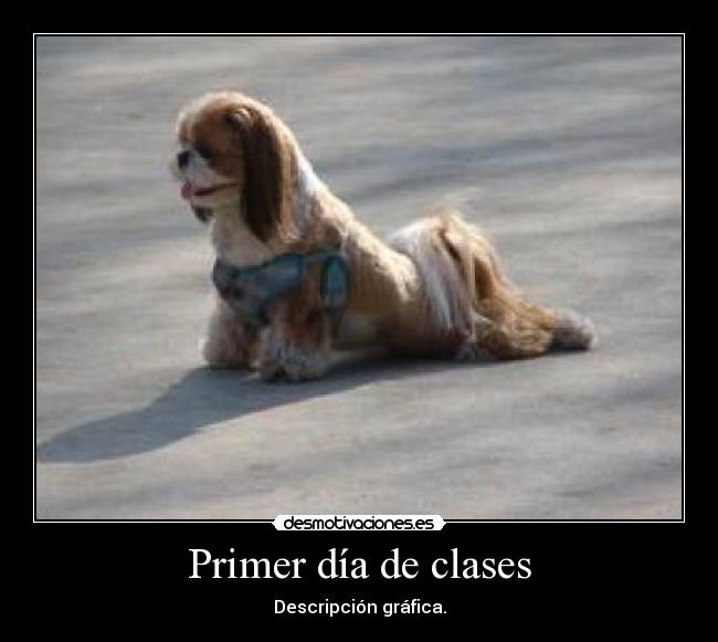 Primer día de clases - Descripción gráfica.