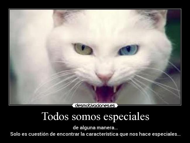 Todos somos especiales -